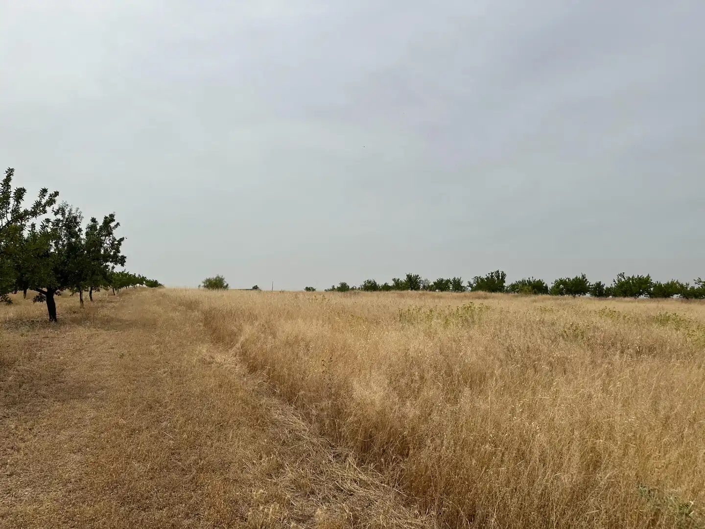 Wohnbaugrundstück zum Verkauf in Chimeneas, imagen 38