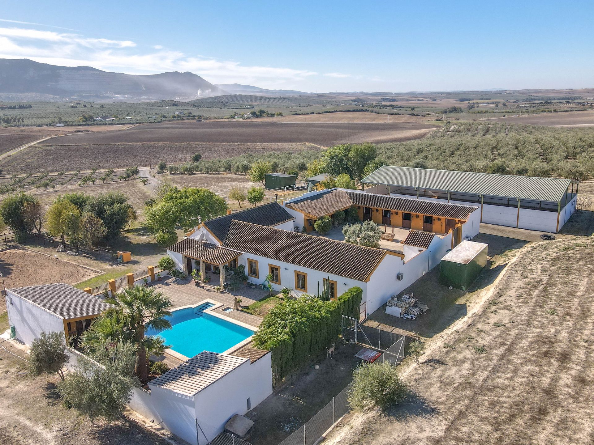 Vista exterior de Casa o xalet en venda en Morón de la Frontera amb Aire condicionat, Jardí privat i Piscina
