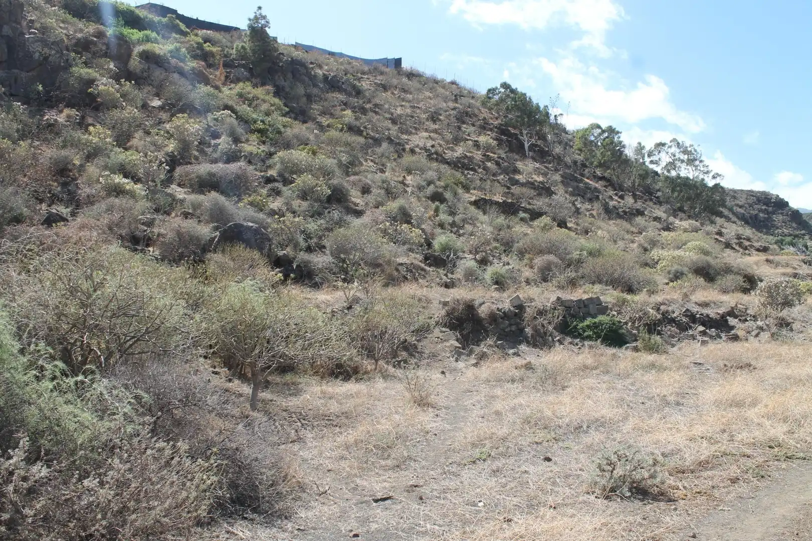 Rural land for sale in San Gregorio