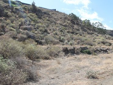 Terreny rústic en venda a San Gregorio
