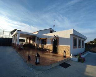 Vista exterior de Casa o xalet en venda en Elche / Elx amb Terrassa