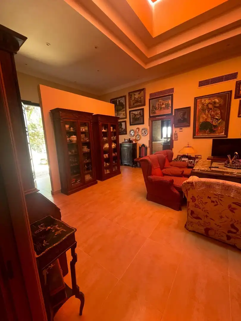 Sala de estar de Finca rústica en venta en Ayamonte con Jardín privado y Terraza
