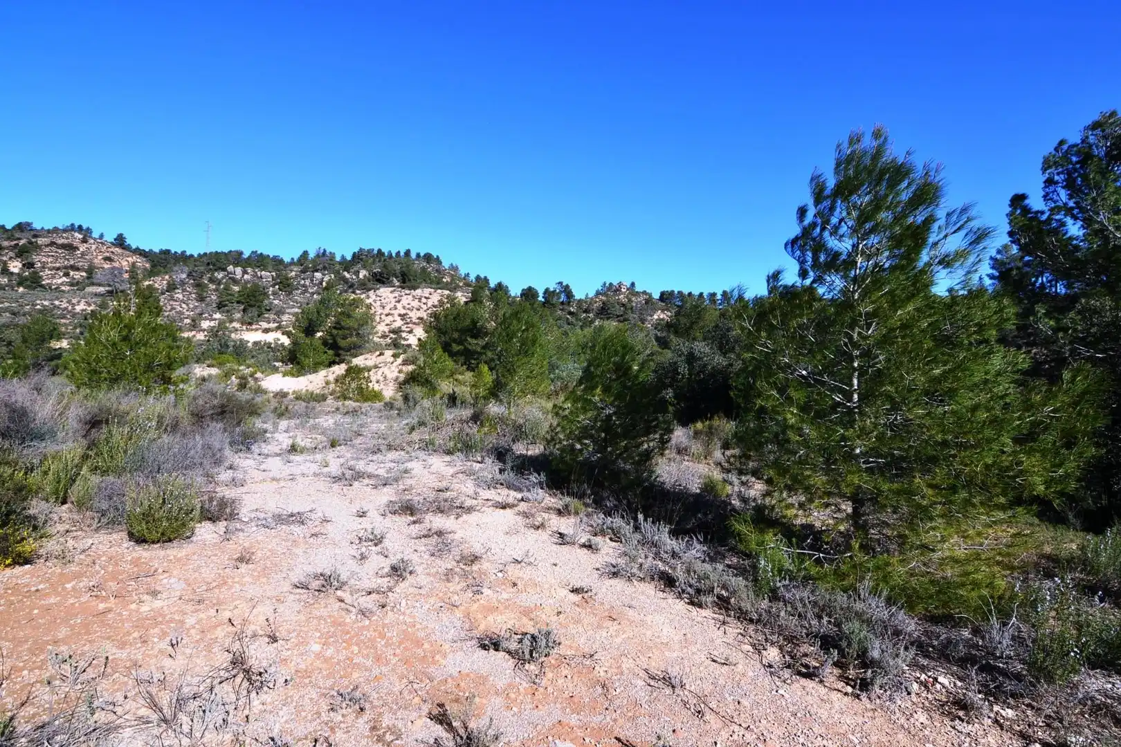 Rural land for sale in Ascó, imagen 3