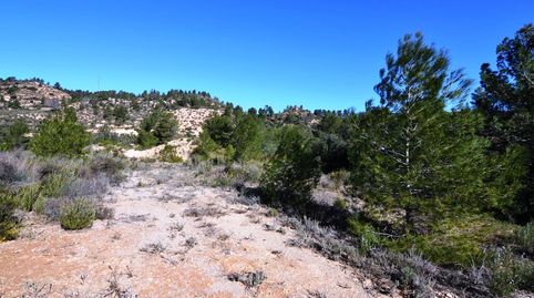 OCASION FINCA RUSTICA DE SECANO DE 2,4 HAS EN ASCO Ribera dEbre, immagine 3