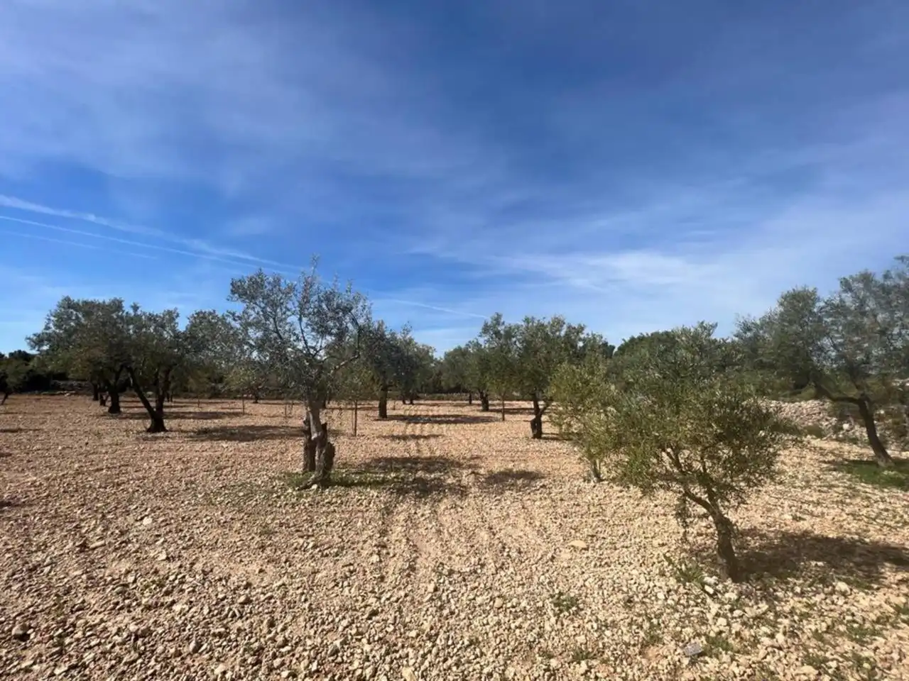 Chalet con jardín en venta en Calle Poligono, imagen 73