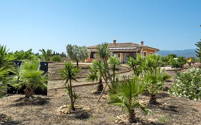 Jardí de Finca rústica en venda en Sencelles amb Jardí privat