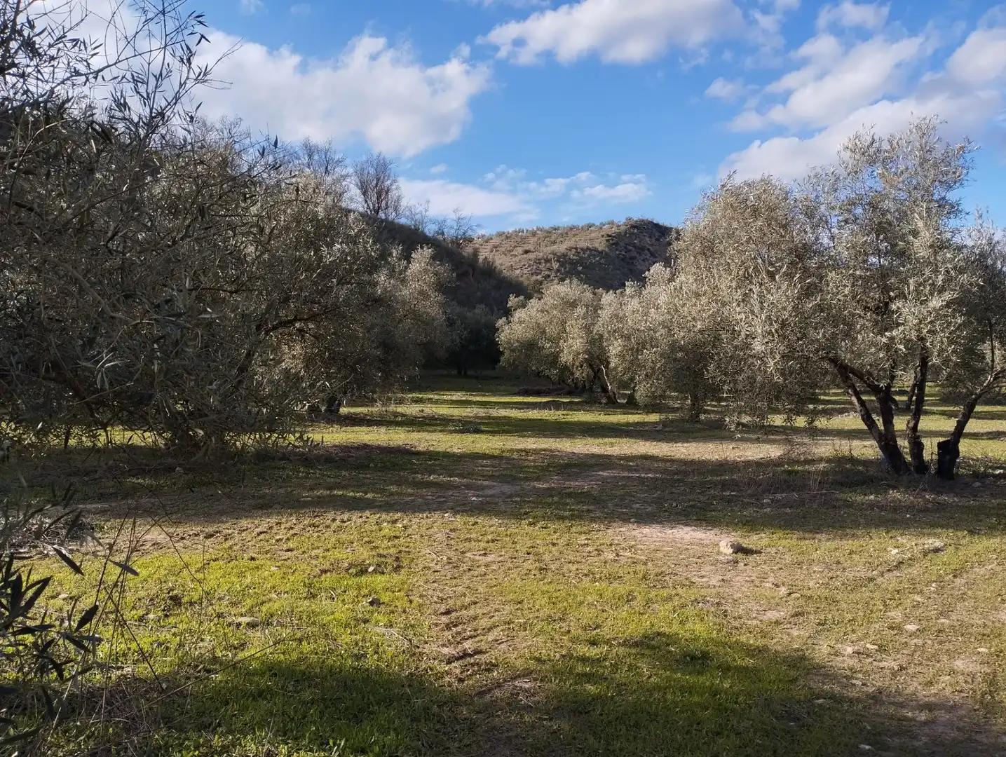 Rural land for sale in Calle Río Anzur, imagen 13