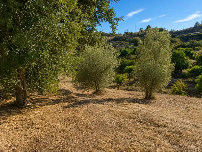 Grundstücke zum Verkauf in Estepona