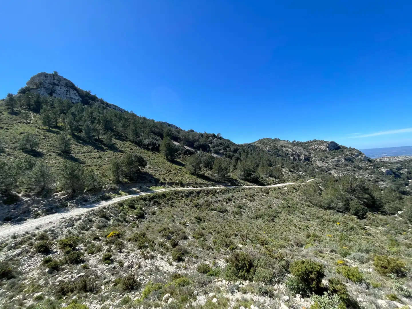 Terrain rustique à vendre à Tivissa, imagen 16