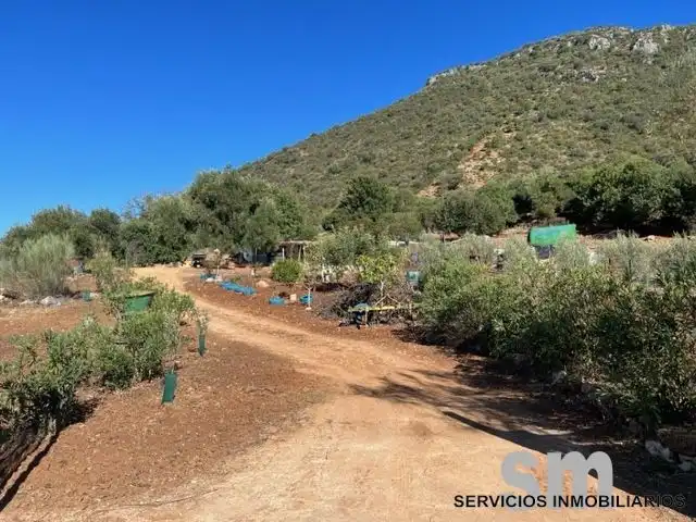 Terreni e lotti in vendita a Benaocaz, imagen 14