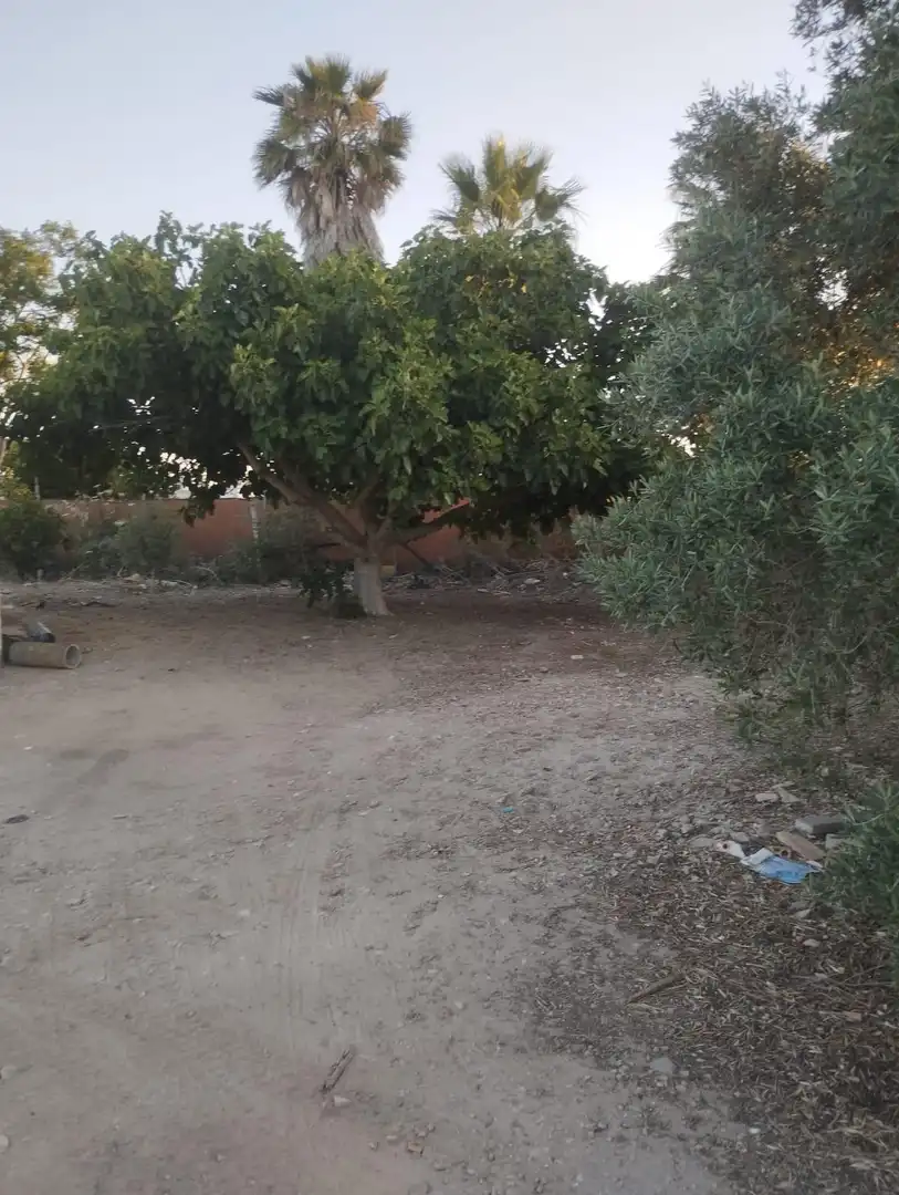 Terreni e lotti in vendita a Chipiona Norte, imagen 4