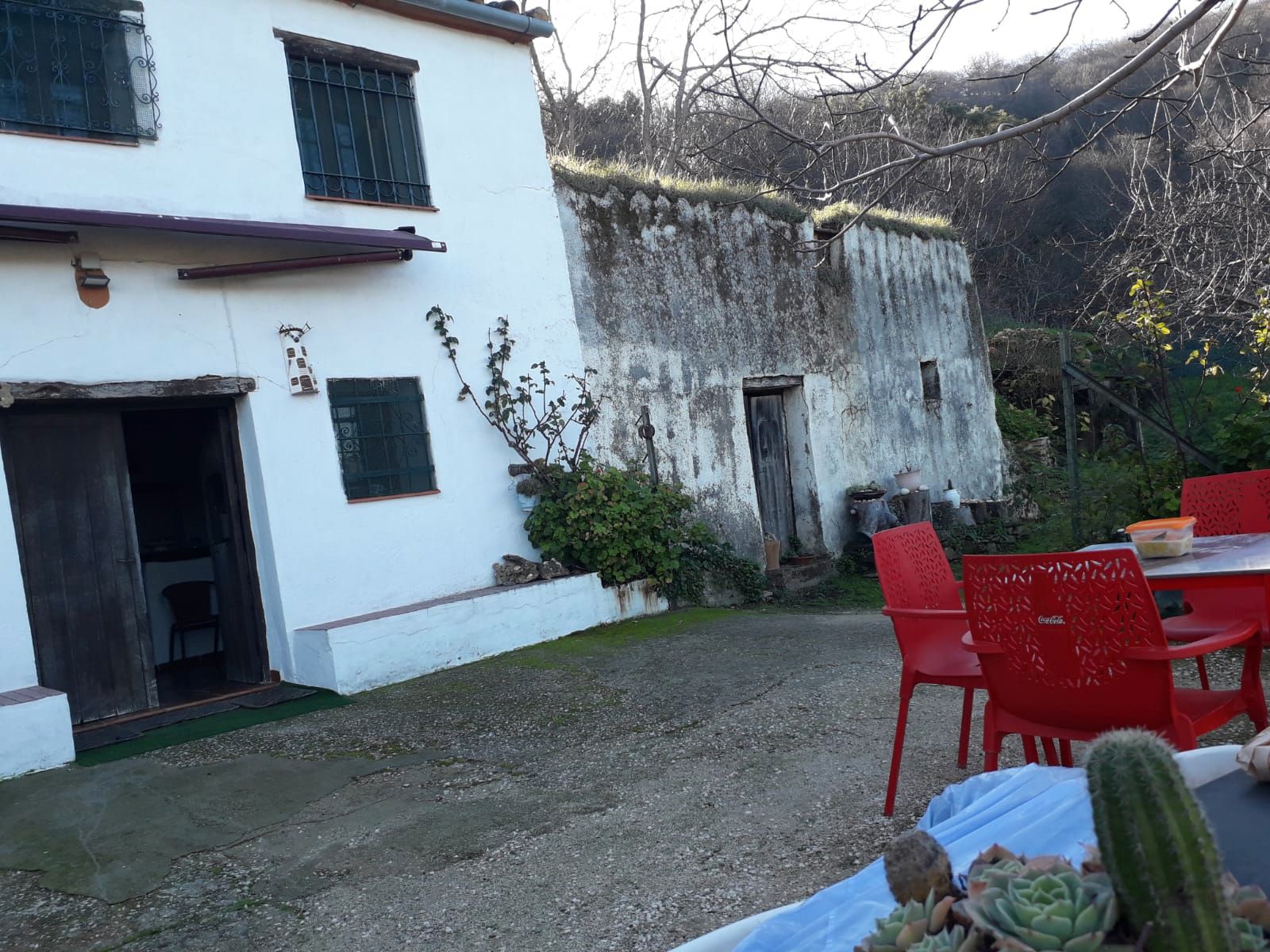 Garten von Grundstücke zum verkauf in Jubrique