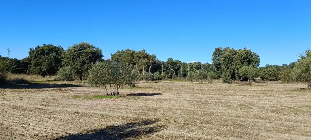 Terreno rústico en venta en Villamanta, imagen 6