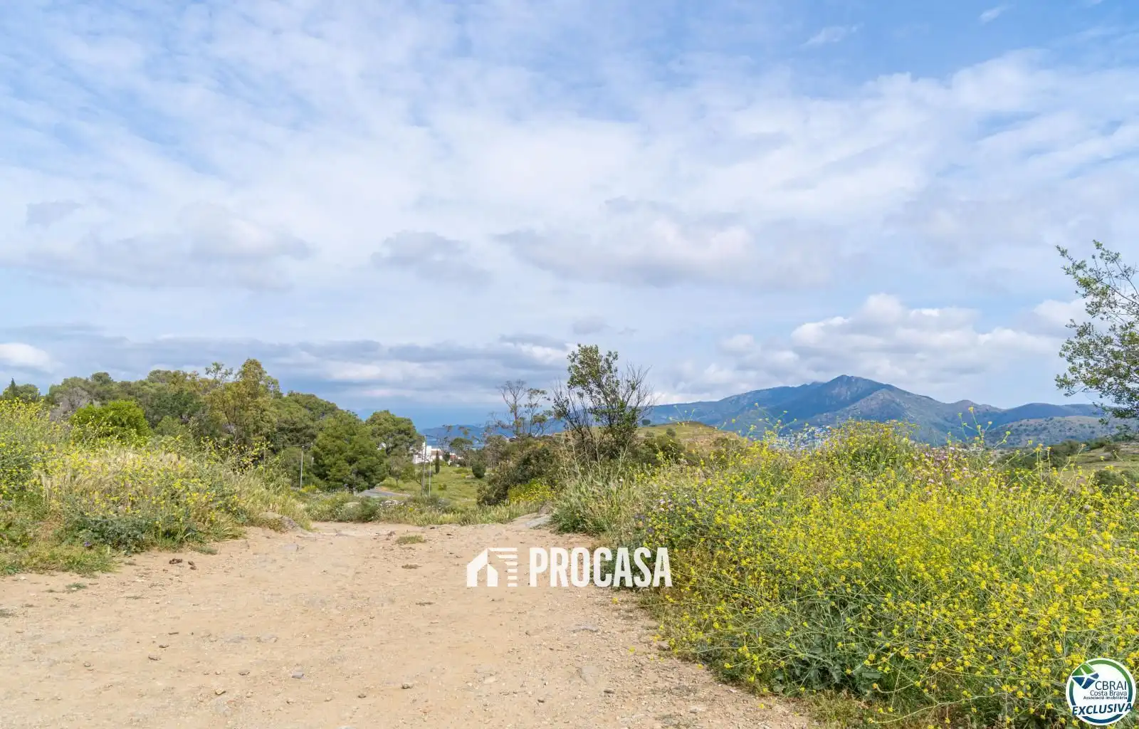 Detached house for sale in joan timoneda, imagen 33