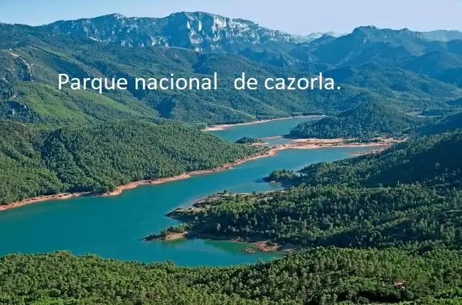 Casa en venda a La Carolina, imagen 33