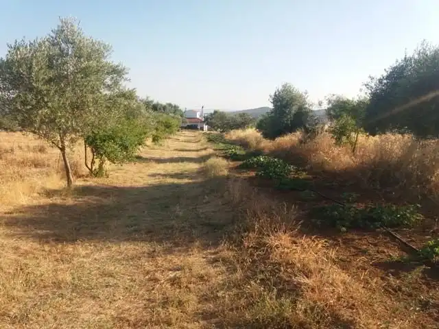 Residential land for sale in Fuente Obejuna, imagen 29