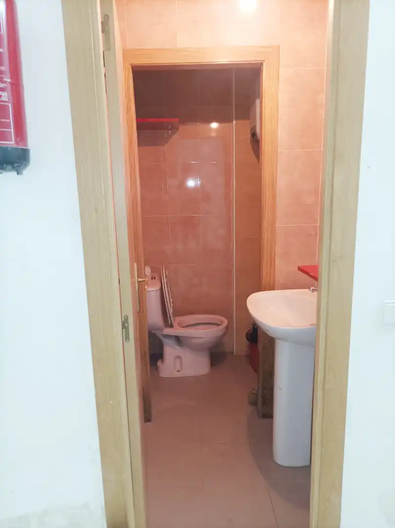 Bathroom of Commercial properties for sale in Madrid