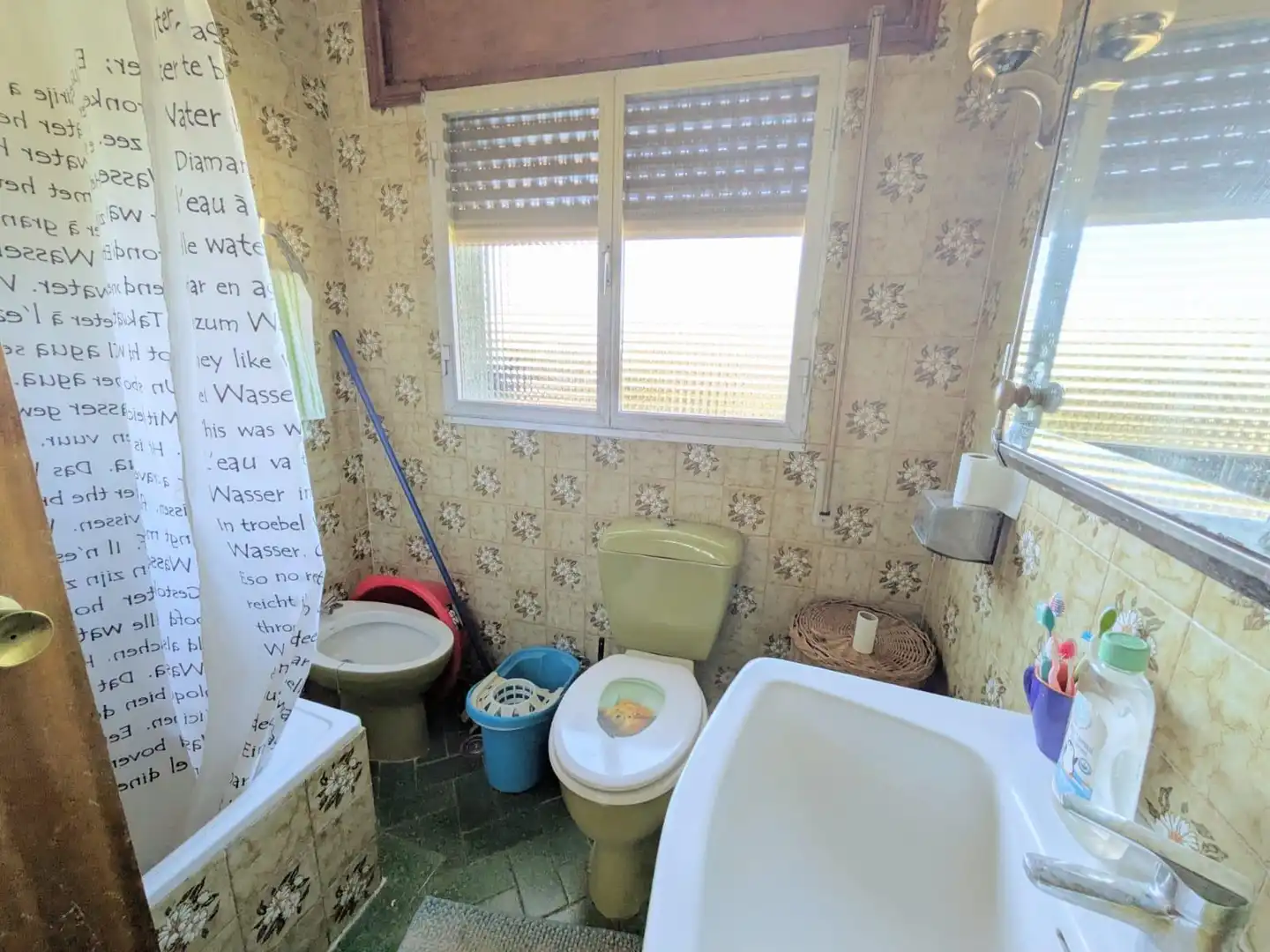Bany de Casa o xalet en venda en Escopete