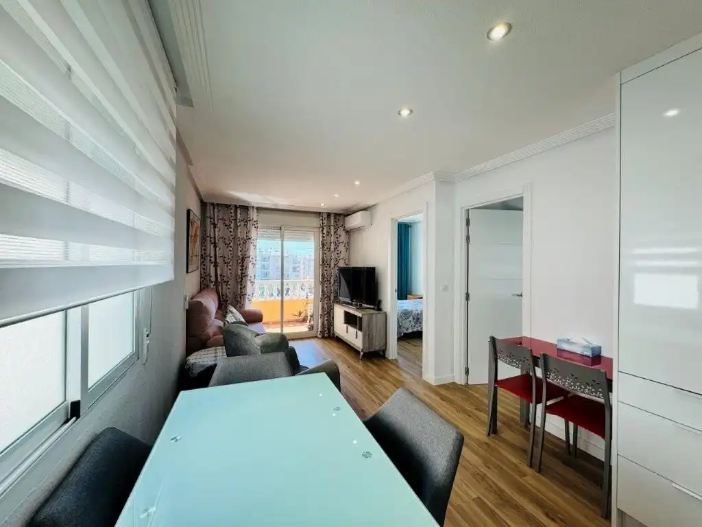 Sala d'estar de Apartament en venda en Guardamar del Segura amb Aire condicionat, Moblat i Balcó