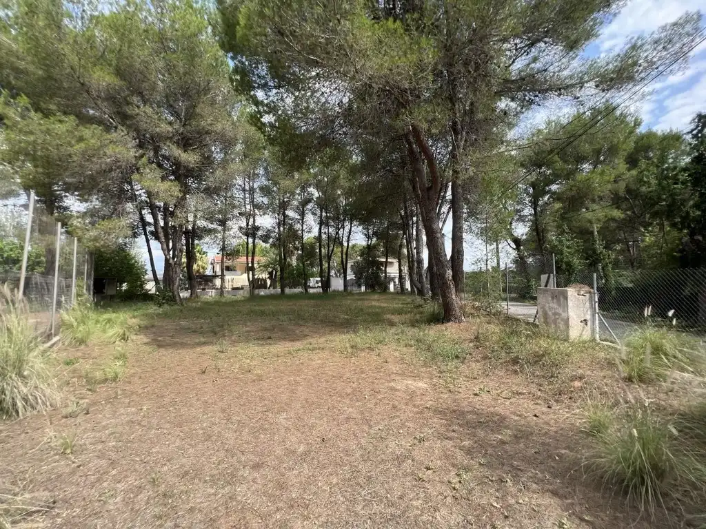 Terreny residencial en venda a Alberic, imagen 51