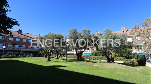 Photo 2 of House or chalet to rent in Ibiza - San Pedro, Madrid