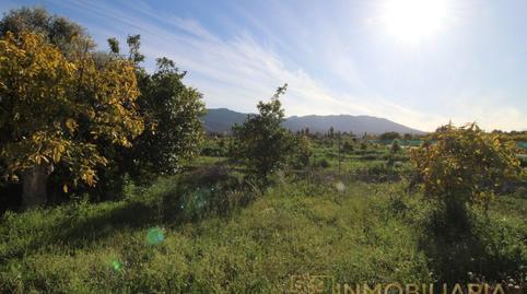 Foto 4 de Casa o xalet en venda a N/a, Pinos de Alhaurín, Málaga