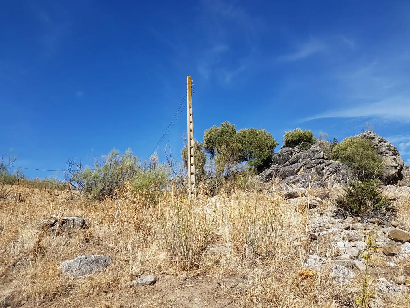 Terreny rústic en venda a Zahara, imagen 6