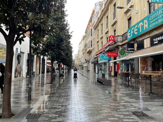 Local comercial en Alquiler en Zona Centro