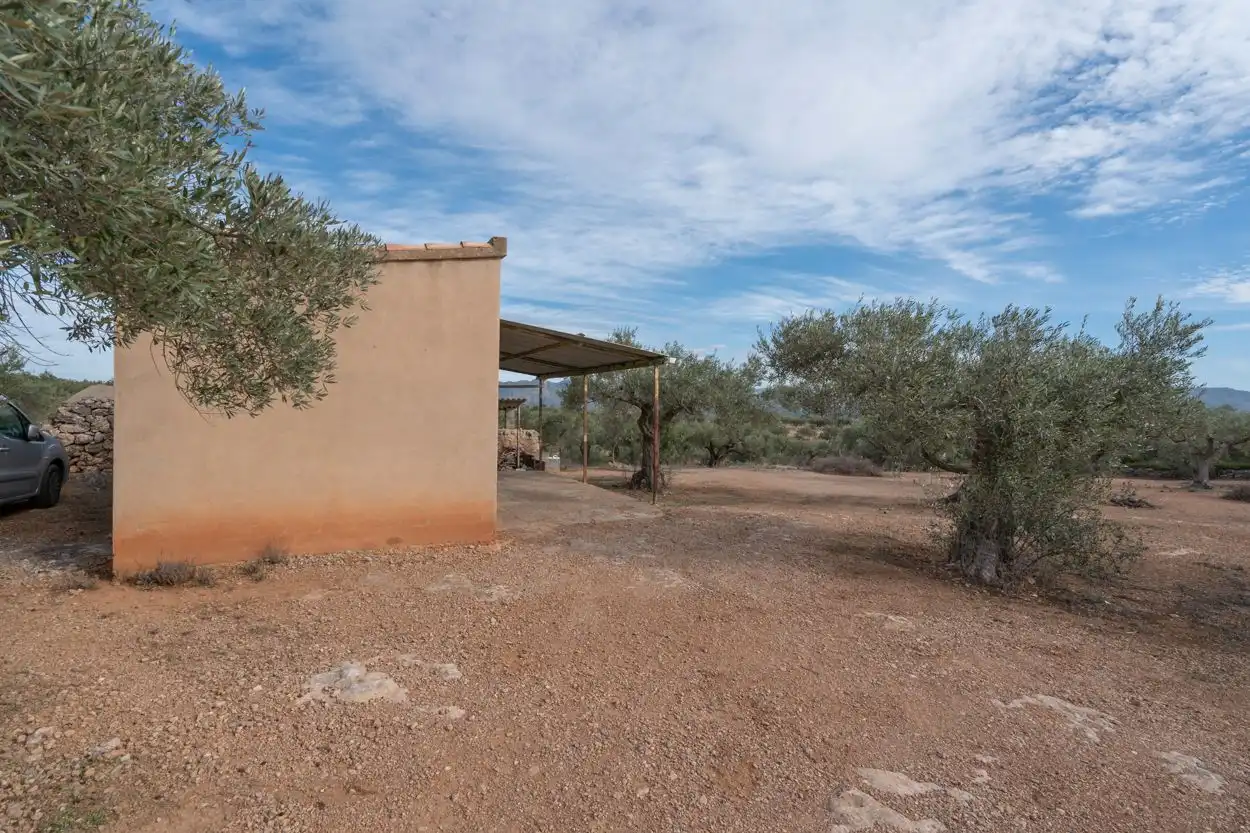 Terrain rustique à vendre à Xerta, imagen 15