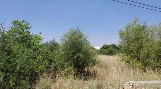 Terreno rustico in vendita a C/ Montanejos, imagen 8