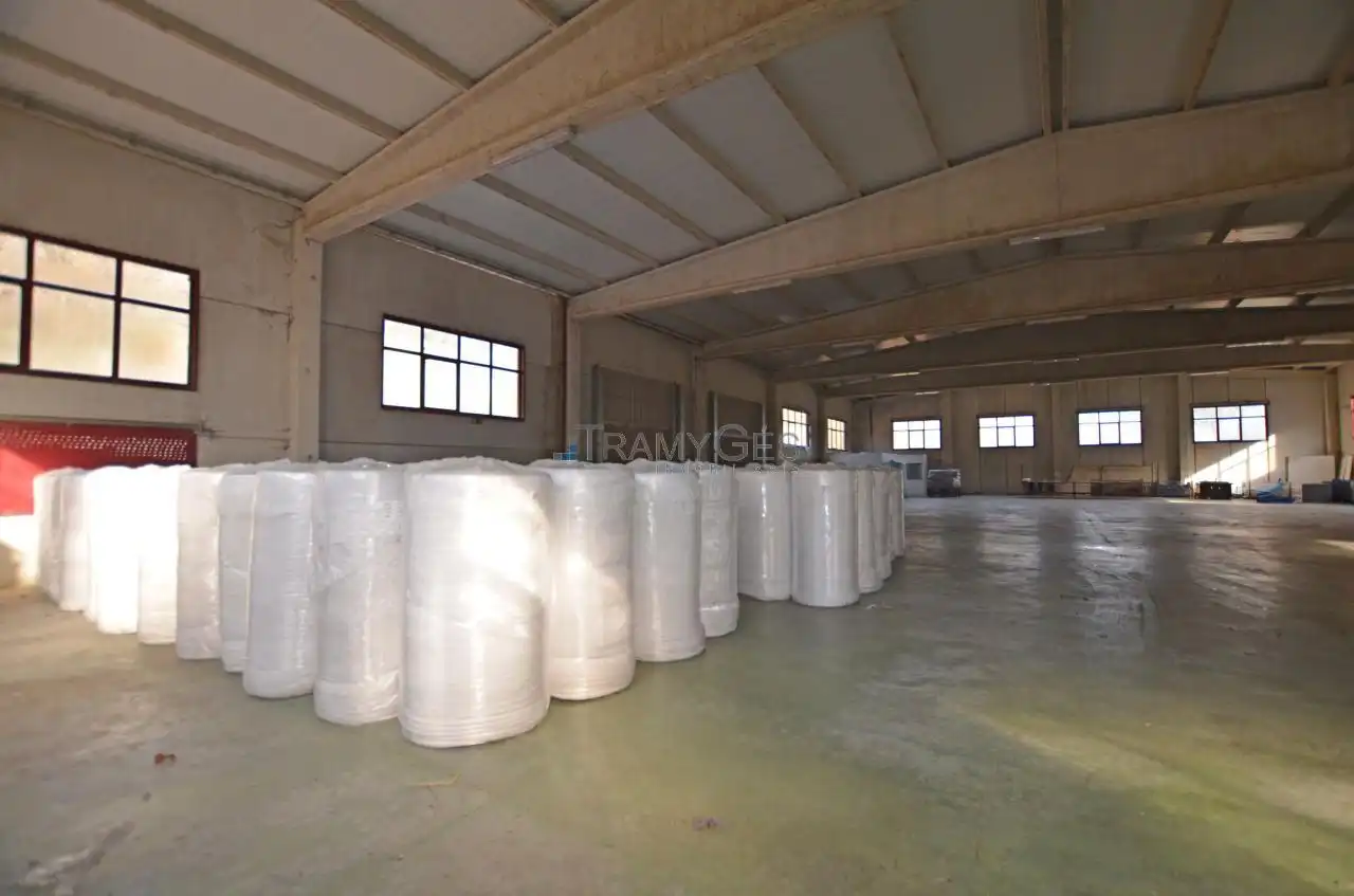 Nave industrial en alquiler en ESTRADA DE GENEROSO DOMINGUEZ, imagen 30