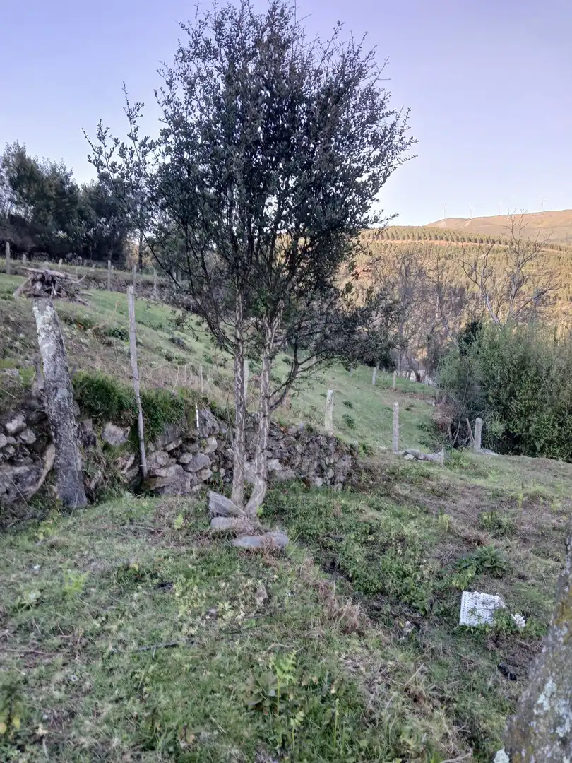 Casa o chalet en venta en As Neves   con Jardín privado