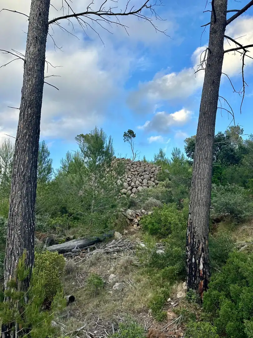 Grundstücke zum Verkauf in S'Arracó
