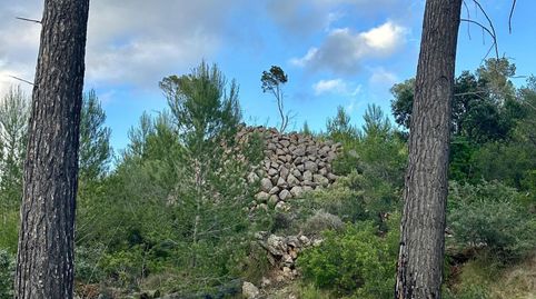 Foto 3 von Grundstücke zum Verkauf in S'Arracó, Andratx