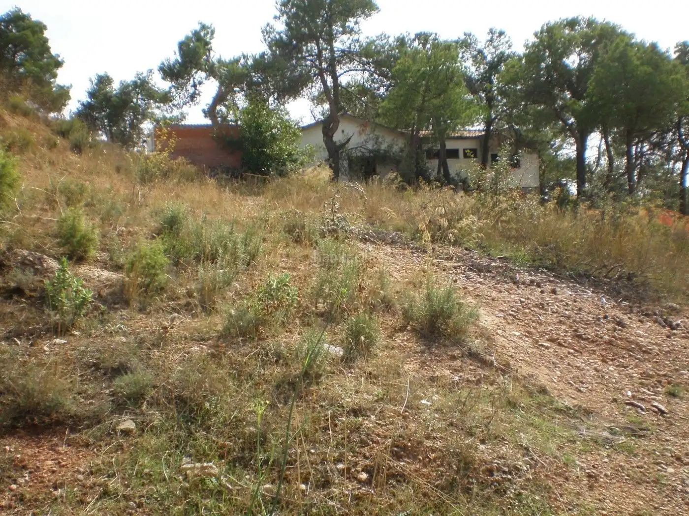 Residential land for sale in Carrer Hostalets 131M