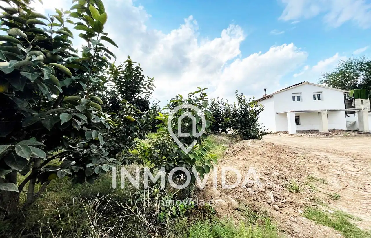 Villa con terrazza in vendita a Xàtiva, imagen 5