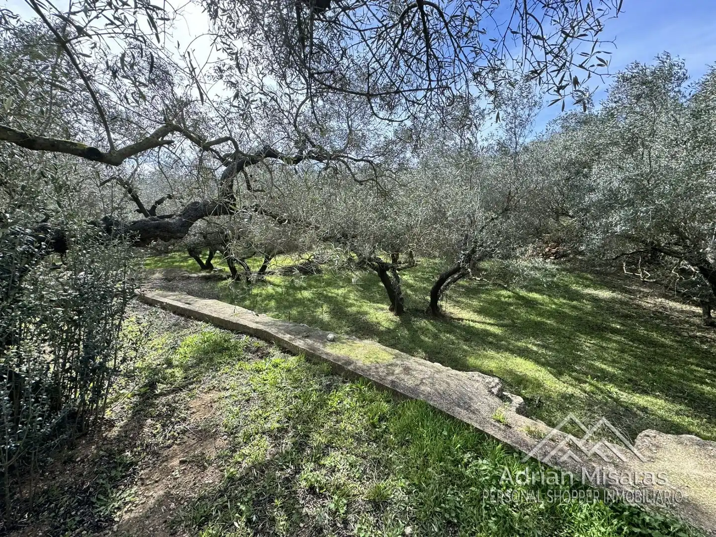 Terreno rústico en venta en L'Aldea, imagen 34