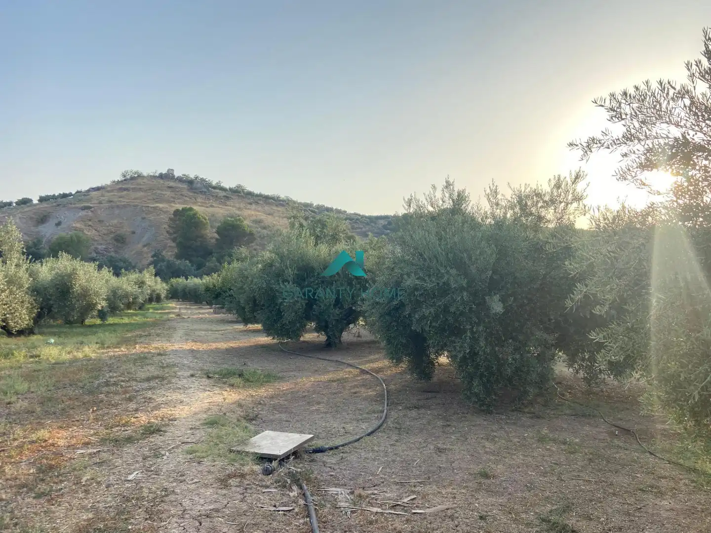Casa o xalet en venda en Alcaudete amb Jardí privat, Traster i Piscina
