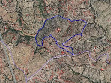 Terreny rústic en venda a Montoro