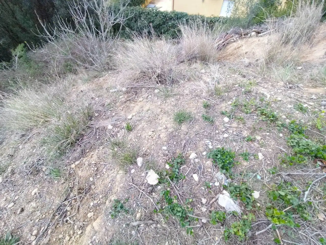 Terreny rústic en venda a Castellnou - Can Mir - Can Solà, imagen 8
