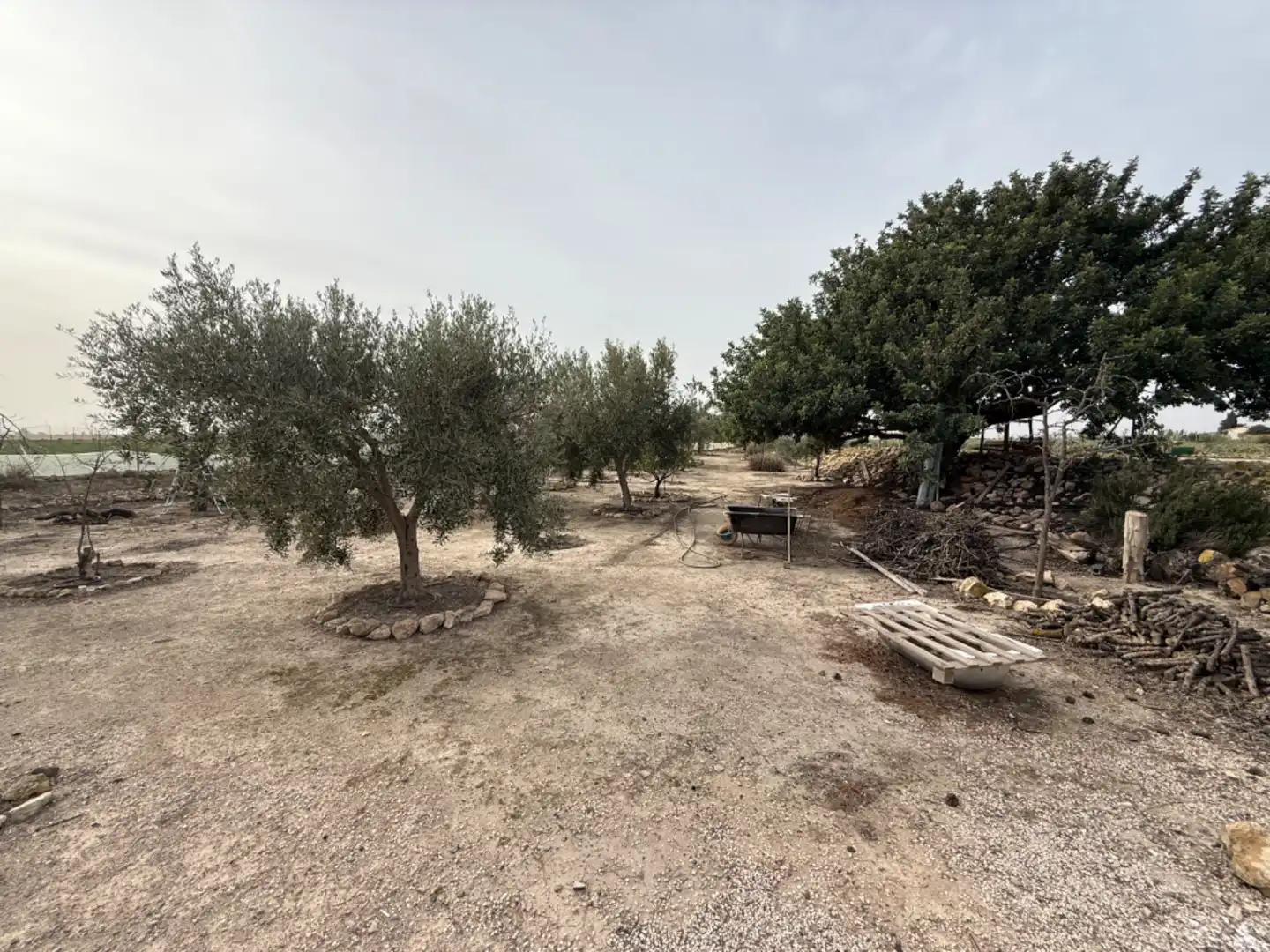 Villa à vendre à Campo de Murcia, imagen 6