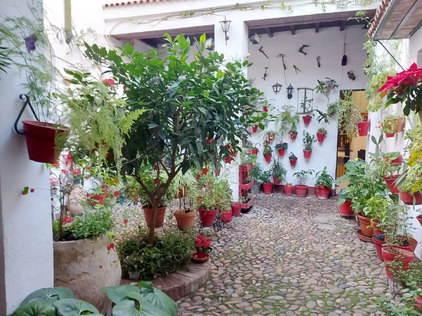 Maison à vendre à Centro