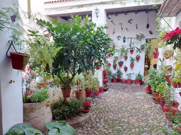 Casa en venda a Centro