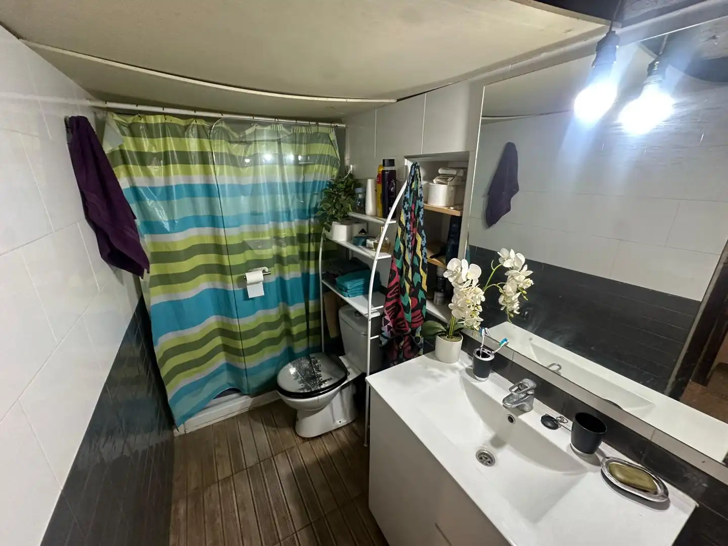Baño de Casa o chalet en venta en Vallmoll con Amueblado, Horno y Lavadora