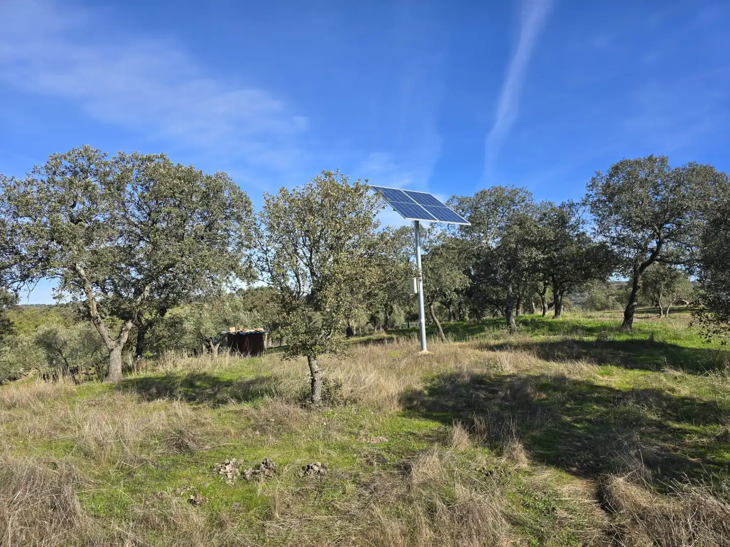 Casa rústica en venta en Pozoblanco, imagen 12