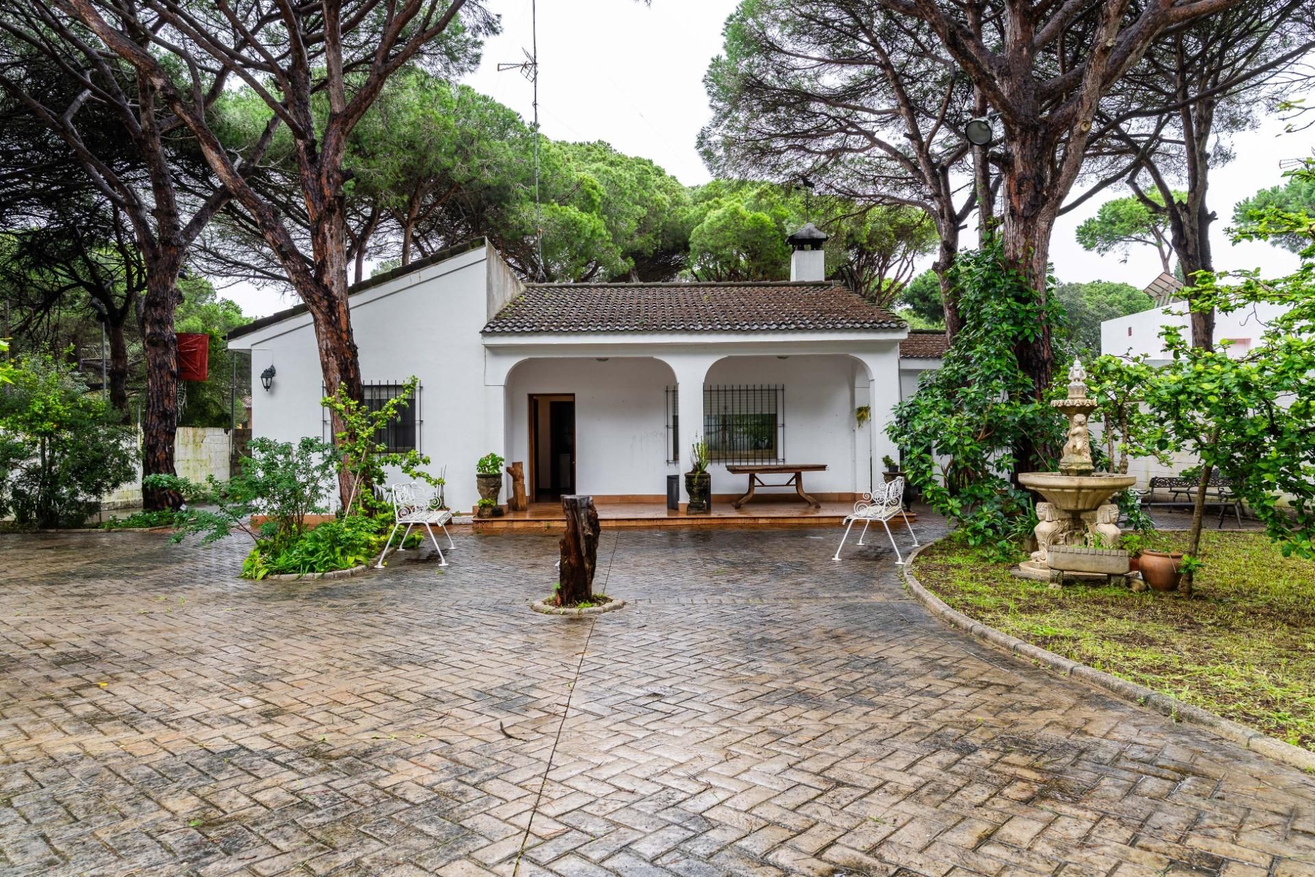 Jardí de Casa o xalet en venda en Chiclana de la Frontera