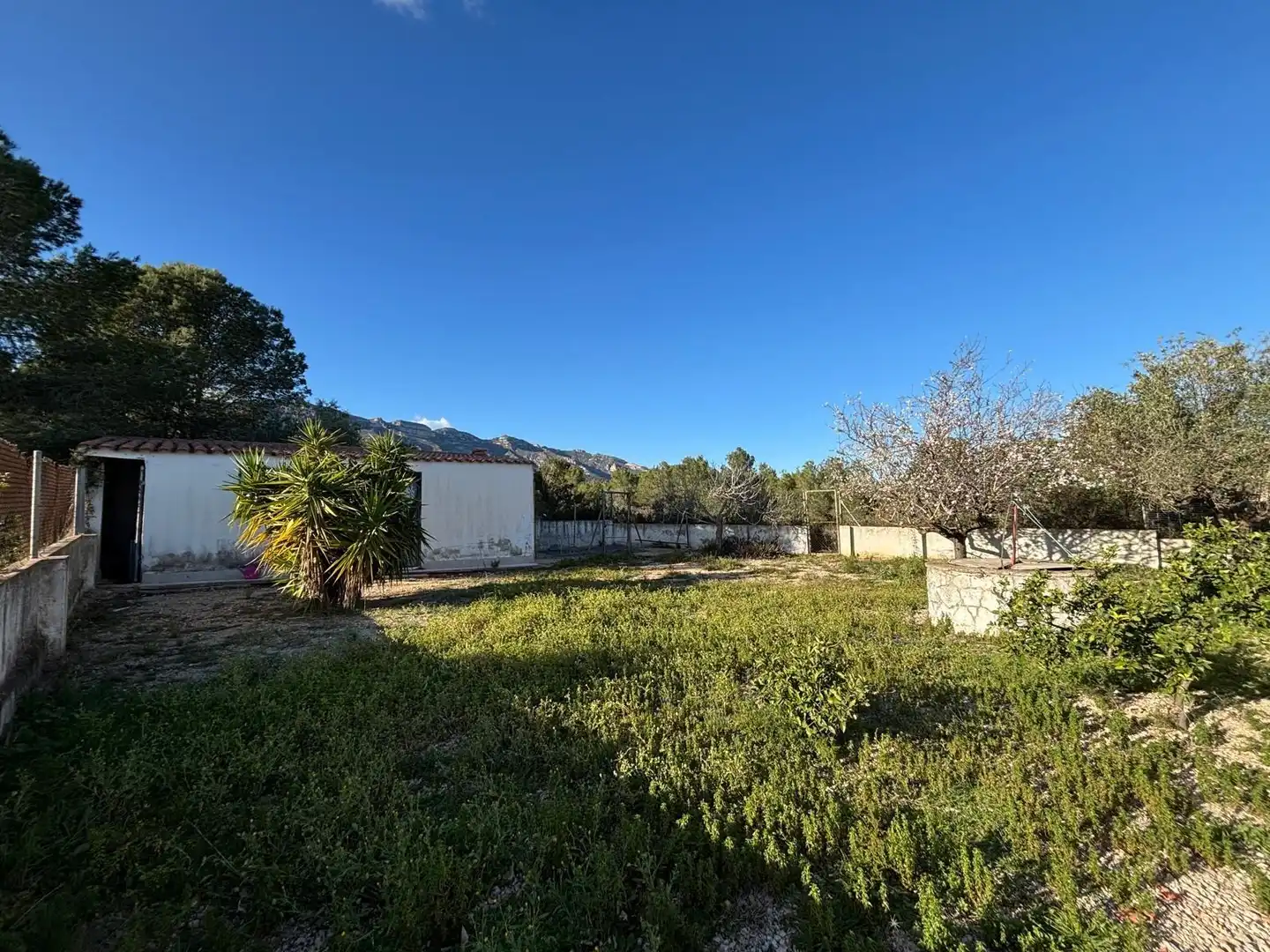 Casa o xalet en venda en Alcanar amb Jardí privat, Traster i Piscina