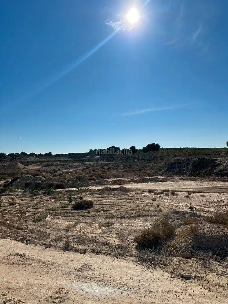 Terrain rustique à vendre à Camino de Catral 31, imagen 8