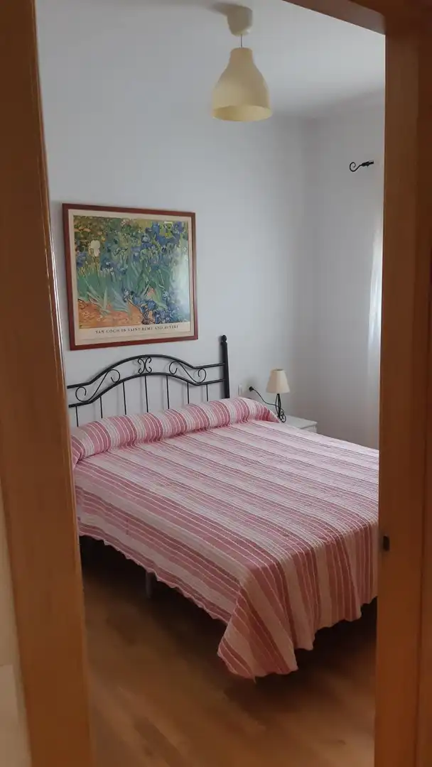 Appartamento in affitto a Jerez norte - Montealto - Pozoalbero, imagen 14