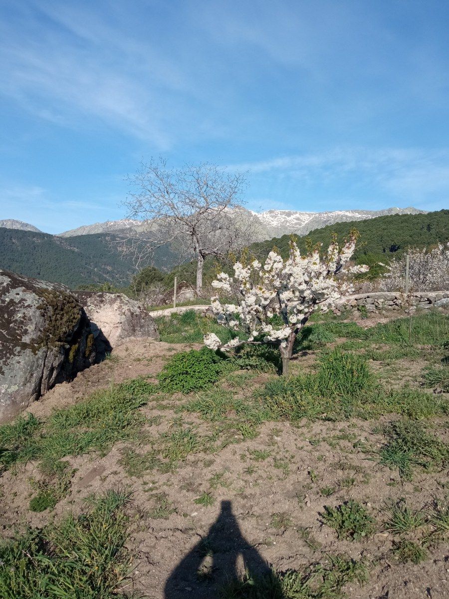 Jardí de Residencial en venda en El Hornillo 